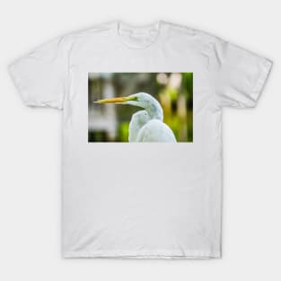 Cool Egret T-Shirt